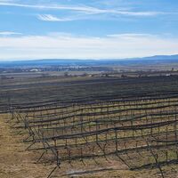 auf der Felser Aussichtswarte