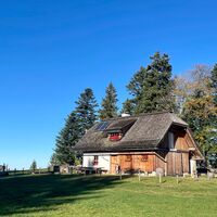 Freithofberg-Trail - Maria Neustift