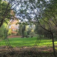 Einblicke - ein Fenster in den Park