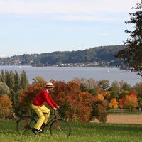 Literaturlandschaft Höri