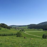 Ausblick auf das Bernauer Hochtal