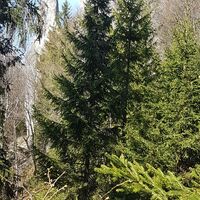 30.2 km Giipfelkreuz am Sauzahn
