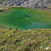 Von ober schimmert der Bittrichsee in grün.