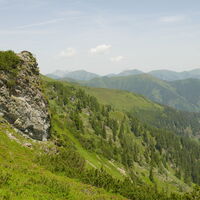 weiter gehts über den Bärenkogel