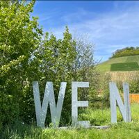 Wein