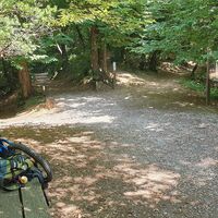 12.3 km Beim 2. Rastplatz rechts auf La Gabbia trail