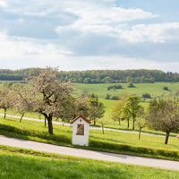Kreuzweg Medelsheim
