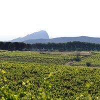 Oenorando der Hänge von St-Christol0011 ©CDRP34