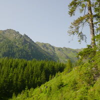 links der Spitz ist das Zwölferköpfl