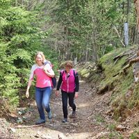 Der Aufstieg führt durch den Wald