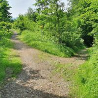 26 km Am Staudenweg nicht links hinunter
