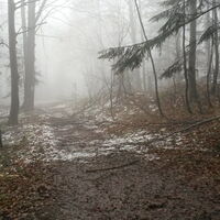 Abstieg nach St. Corona