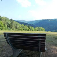 Hühnernest mit Himmelsliege