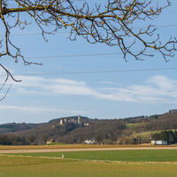 Burgruine Hohenegg