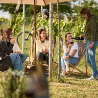 Weingenuss unter Reben – entspanntes Beisammensein mitten im Weinberg