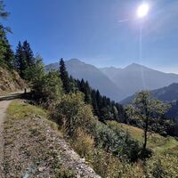 Jetzt sind wir auf der Forststraße Richtung Himmelbauer angelangt.