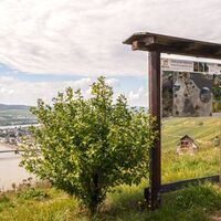 Übersichtsschild des Aktivpfad Mehring auf dem Moselsteig bei Mehring