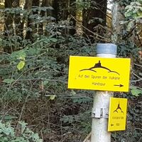 Handspur Wegweiser