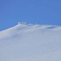 Puchberg - Schneebergdörfl - Mieseltal - Waxriegel