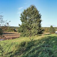 Stimmung am Weg