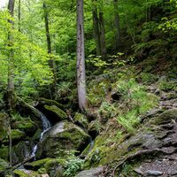 Slow Trail  Römerschlucht