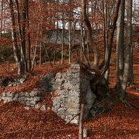 Die Burgruine Federaun