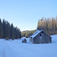 Halbartschlager mit kl. Häuschen