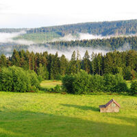 Dobel Mannenbachheide
