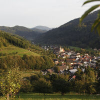 Ortsansicht Lautenbach