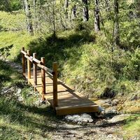 Steg entlang des Weges