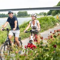 Am Rhein entlang bei Speyer