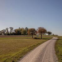 Weg zu Hallauer Grillstelle "uf Rummelen"
