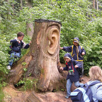 Auf dem Quellenerlebnispfad gehen auch Kinder gerne wandern