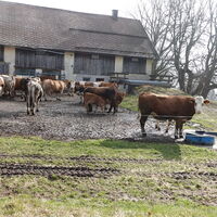 am Garhof vorbei