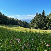 Jauerling-Runde 05: Weiten-Raxendorf