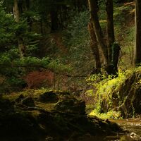 Die Arena unter dem Wasserfall von Clairefontaine