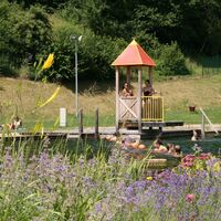 Blumen Naturschwimmbad Jagerberg