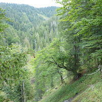 geht es steiler bergauf