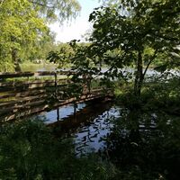 Mohrmühlweiher - Pfälzer Seentour