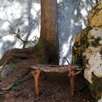 Holzbank am Fürstensteig