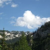 Hinternaßwald - Grenzriegel - Amaißbichl