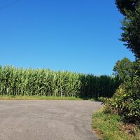 Höhe Indlekofer Feld