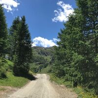 Von Alpe Plane Richtung Piano della Milizia