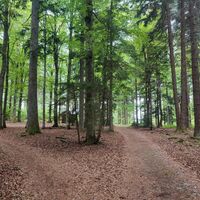 Plateau mit Schutzhütte zwischen Kl. und Gr. Aschenstein erreicht
