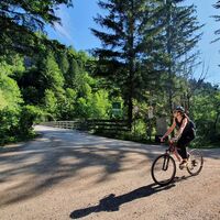 Radfahren durch den schattigen Wald
