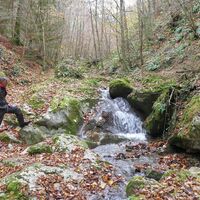 badlschlucht-c-av-frohnleiten (3).jpg