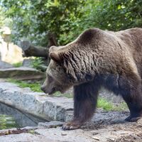 Tier- und Kulturpark Bischofswerda