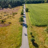 Moosheider Straße in Hövelhof 