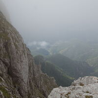 am nebeligen Rauenstein