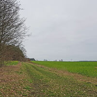 Feldweg bei Oerel mit Windrädern in der Ferne